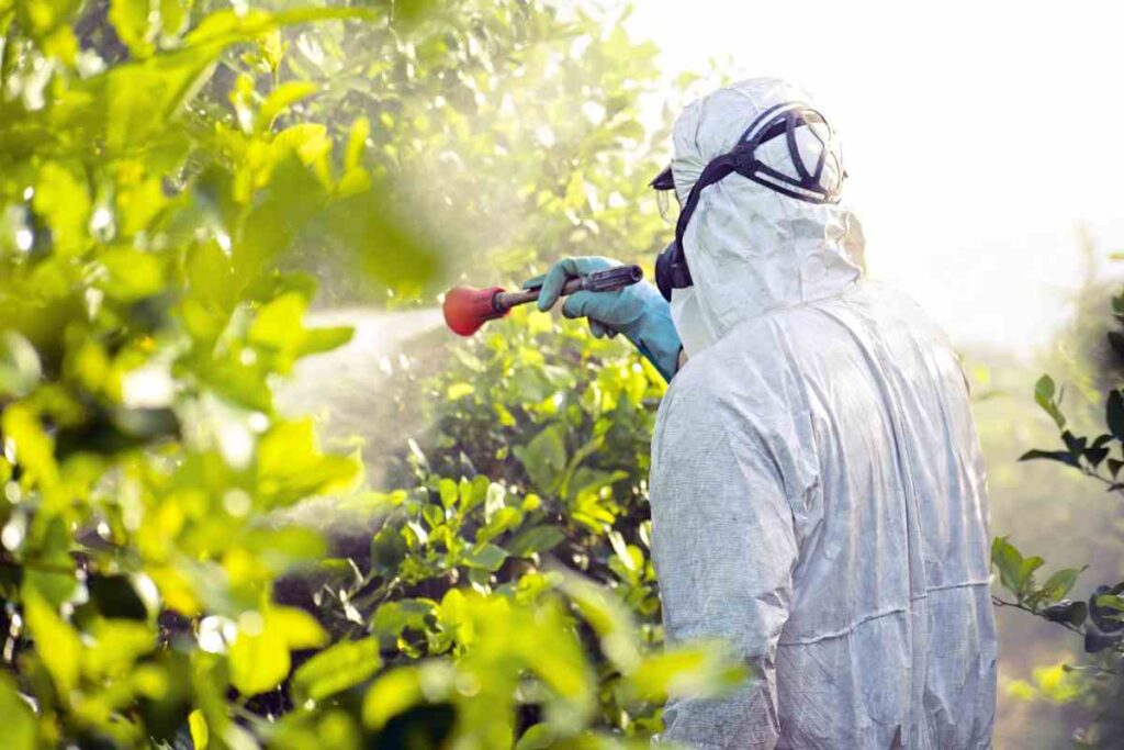 Pesticidi non solo nella frutta