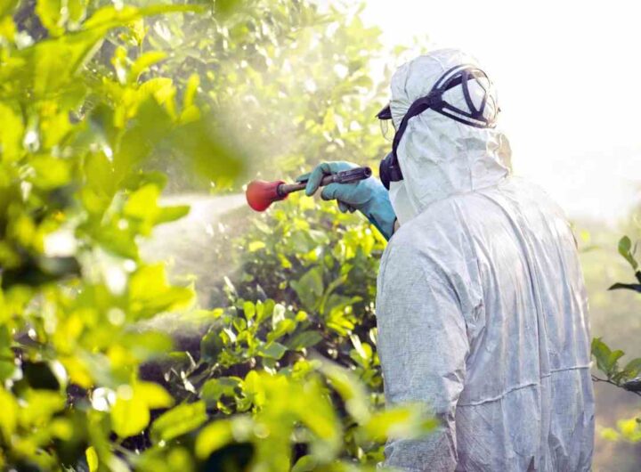 Pesticidi non solo nella frutta