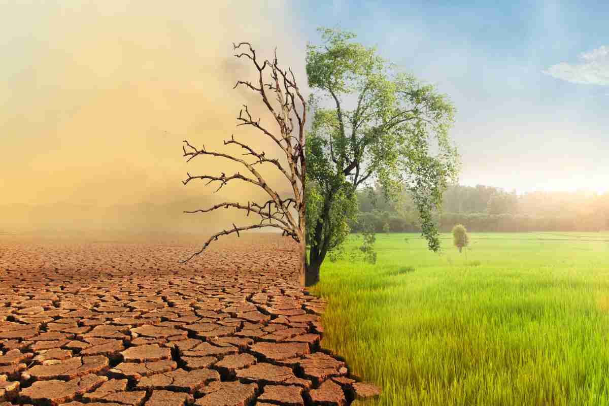 Mutamenti climatici la situazione preoccupa